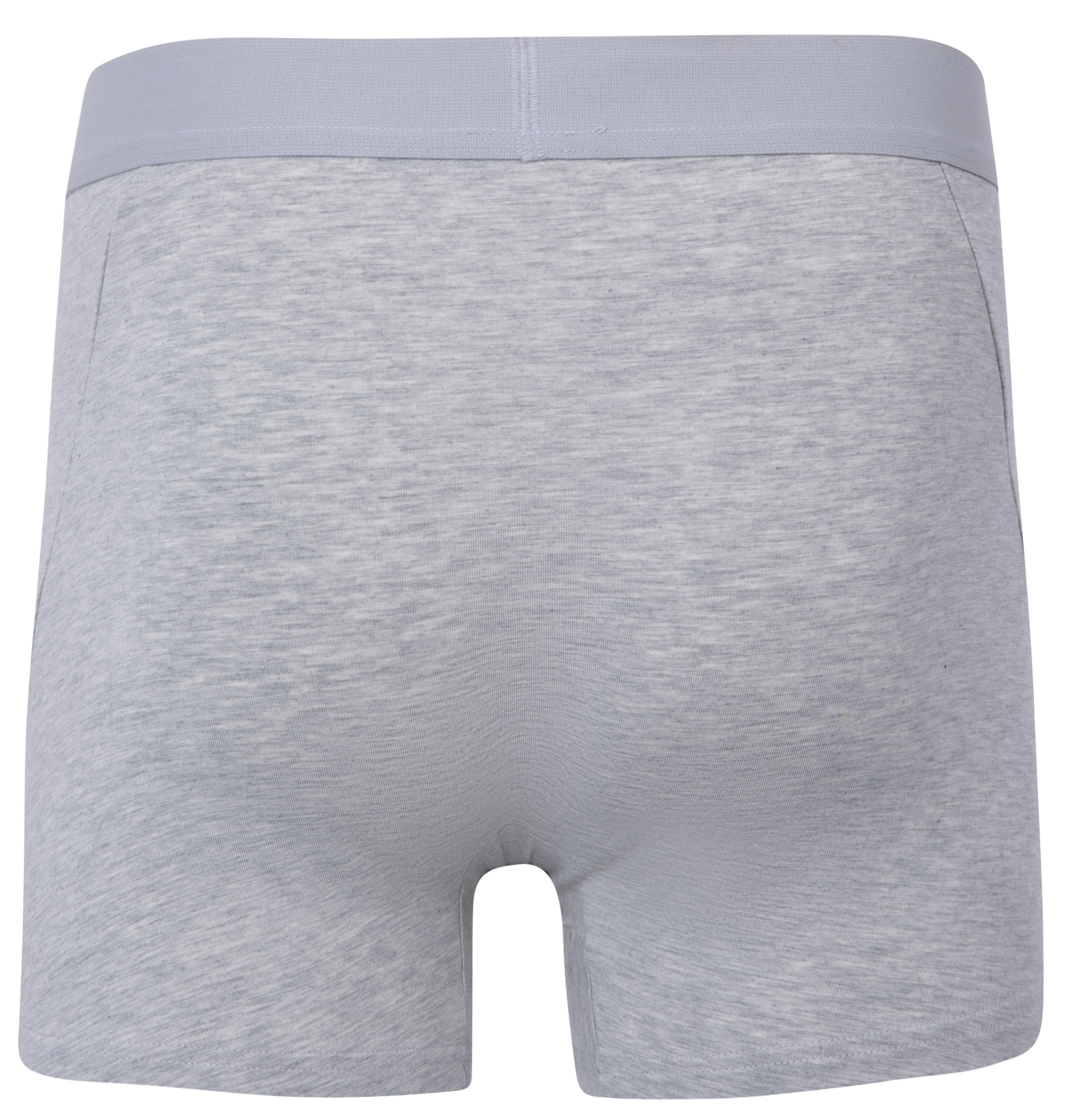 Urban Pioneers Male John Boxer BOXERSHORTS LIGHT BLUE